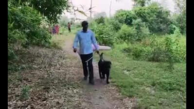 Bodies of missing girl, toddler brother found in Hazaribag