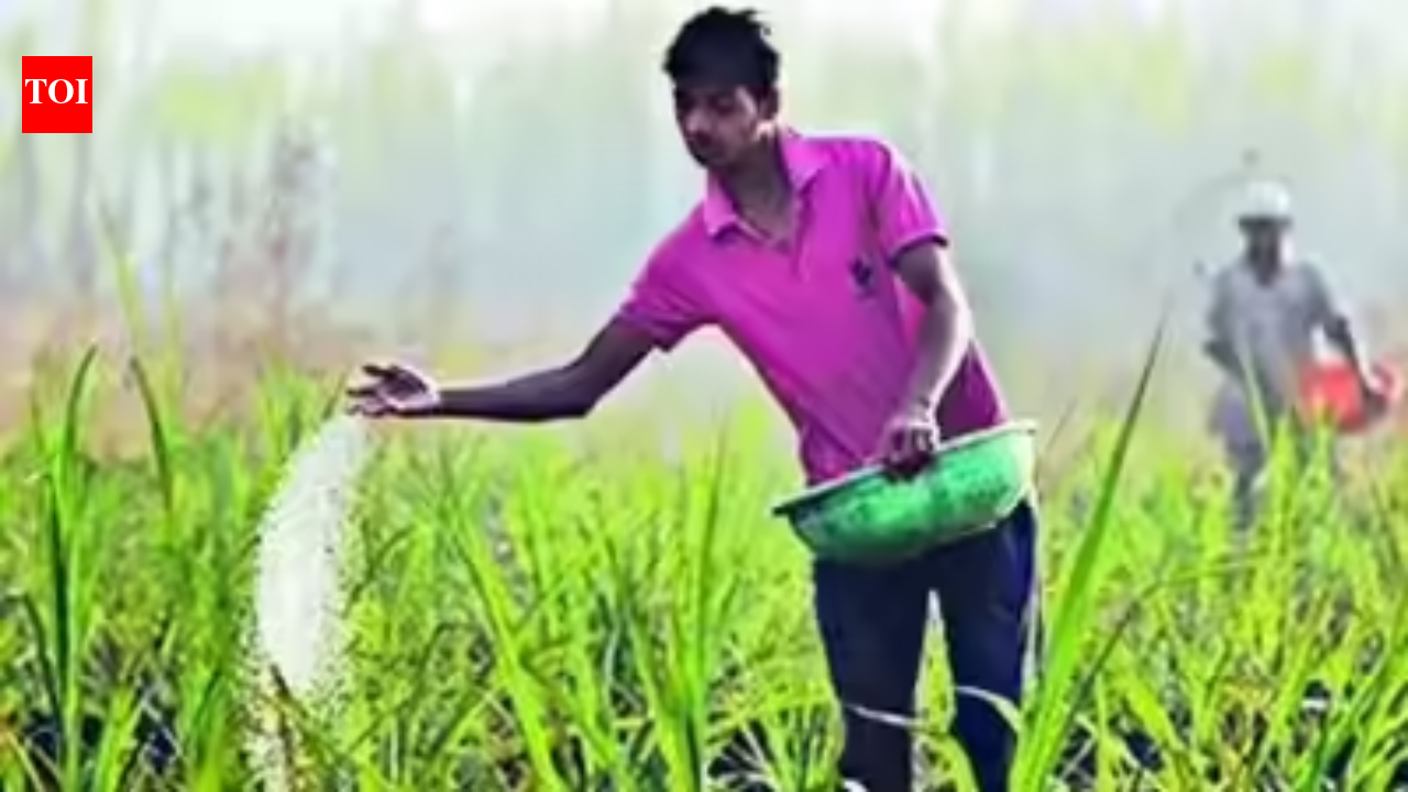 Centre floats second global tender for 70 lakh tonne urea despite surge in prices