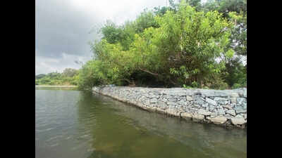 Gabion walls to shield Ranganathittu islands from erosion