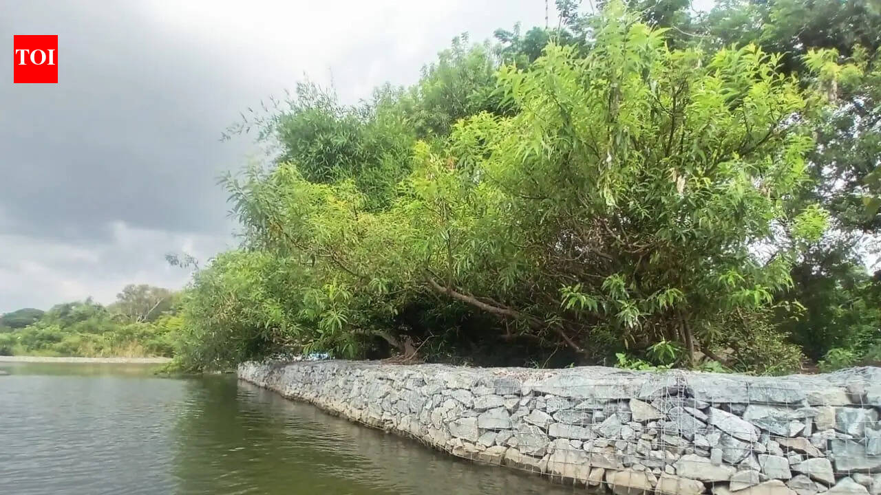 Gabion walls to shield Ranganathittu islands from erosion