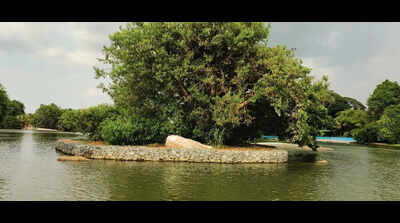 Gabion walls to shield Ranganathittu islands from erosion