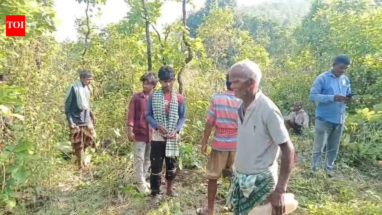 Mutilated remains of elderly man found near Similipal, villagers suspect animal attack
