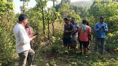 Mutilated remains of elderly man found near Similipal, villagers suspect animal attack
