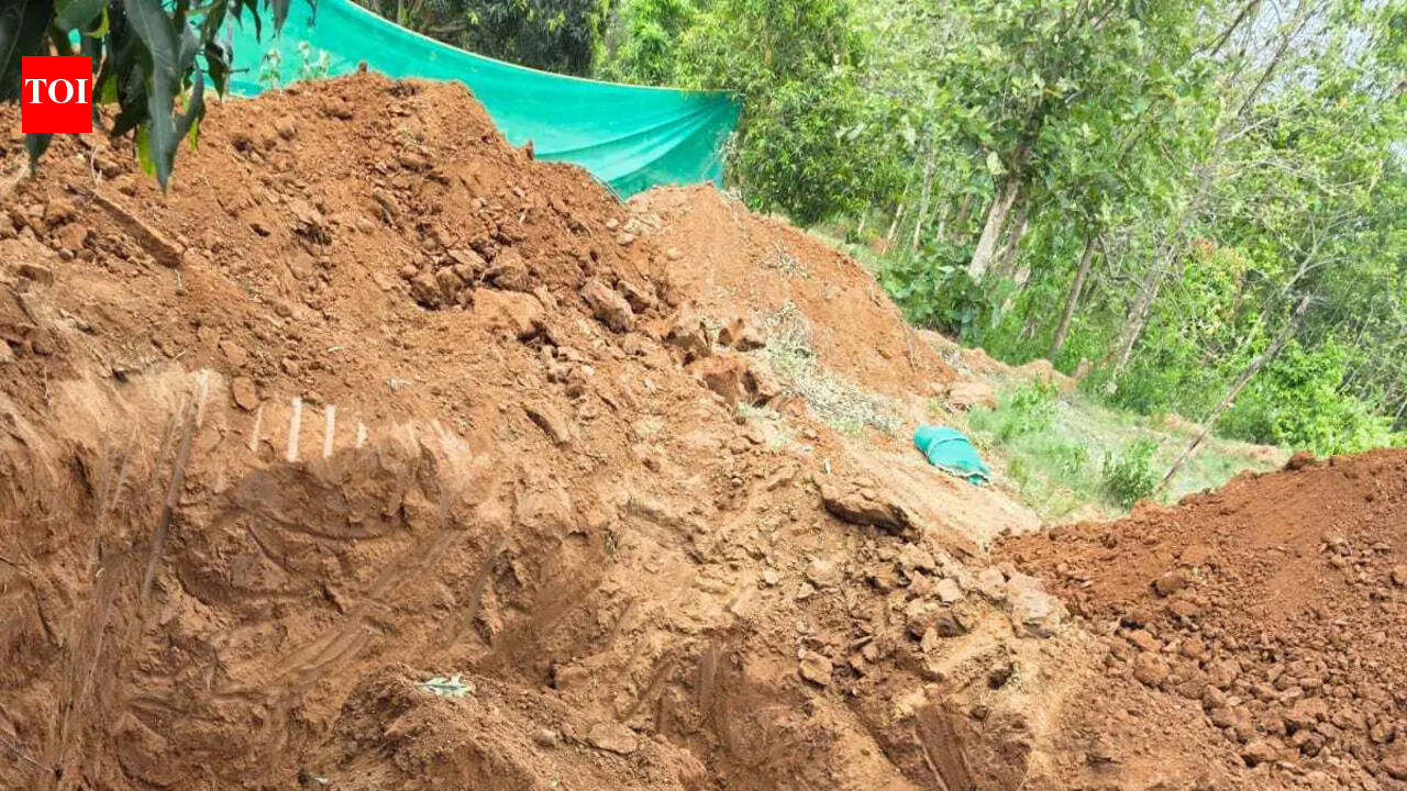 3 held for killing &amp; burying elephant in Dhenkanal orchard