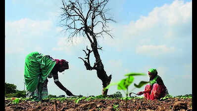 Soaked to scorched: Marathwada experiences weather extremes in May