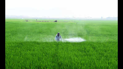 Telangana plans crop shift amid El Nino concerns