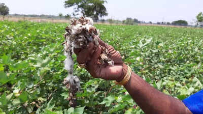 Half-clad farmers march 37 km over pending crop compensation