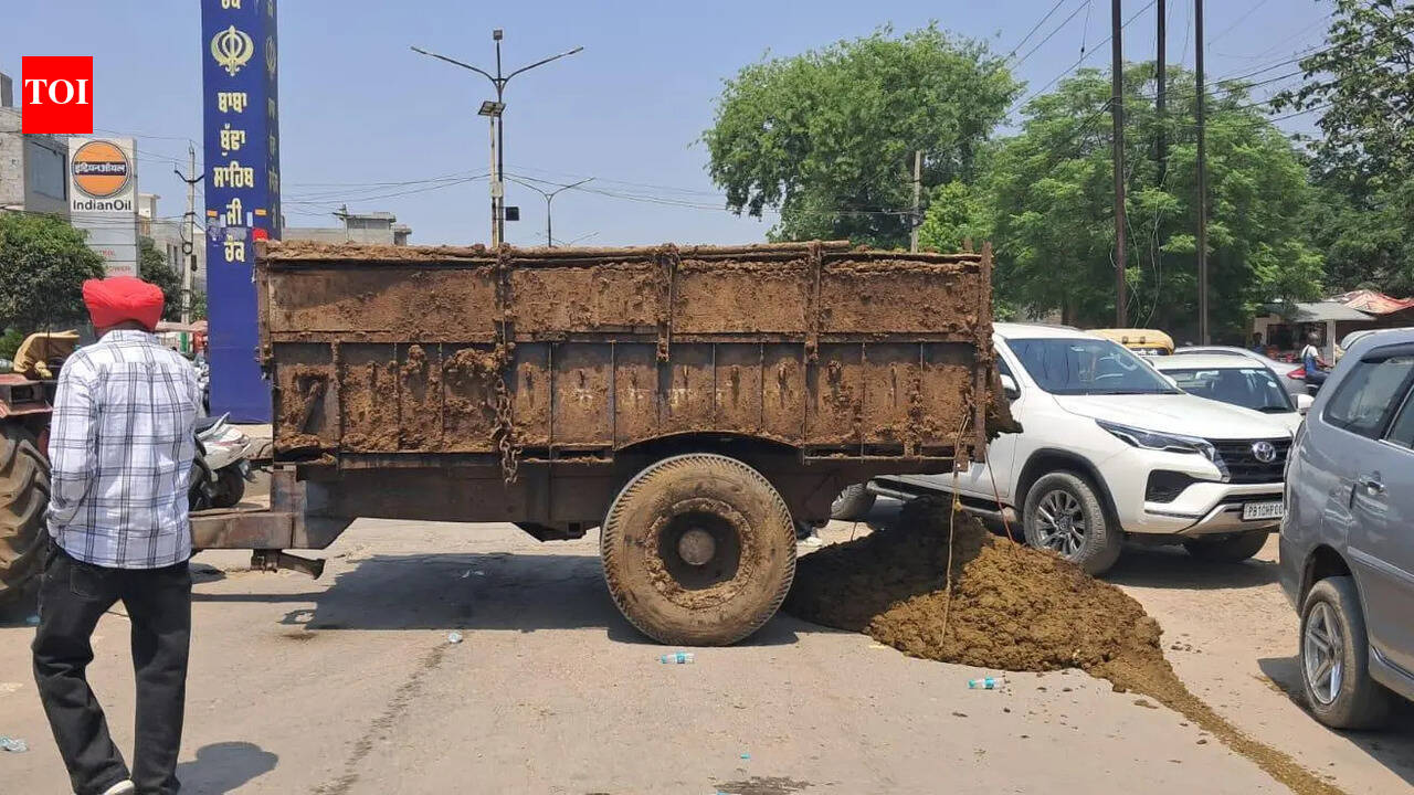 Dung carts shut Ludhiana’s Hambran Road in protest over dairy complex filthy lanes.