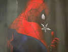 'Spider-Man: Brand New Day' new stills LEAKED online