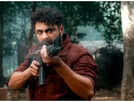 'Kattalan' BO day 5: Antony Varghese film sees heavy decline
