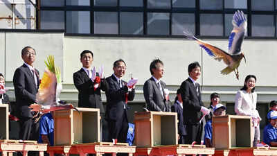 8 crested ibises released in Japanese town decades after extinction in Japan