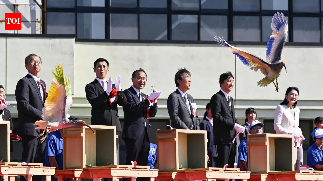 8 crested ibises released in Japanese town decades after extinction in Japan