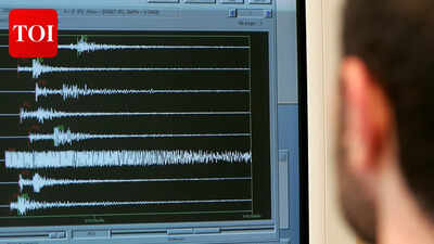 Magnitude 4.6 earthquake hits Bay of Bengal