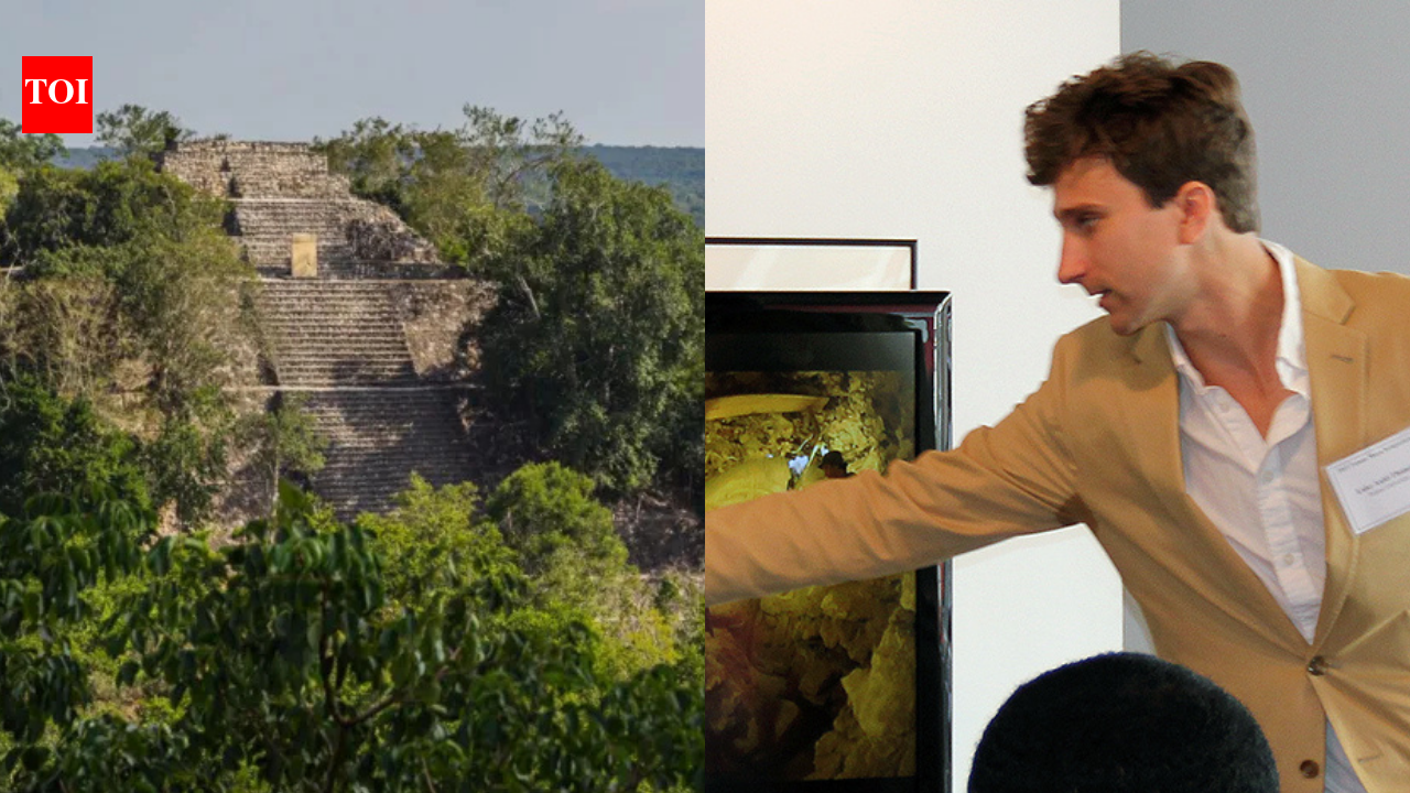 Google discovery: PhD student found a lost Maya city while scrolling through page 16 of Google