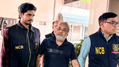 Money laundering case: ED conducts raids across Maharashtra, Gujarat against drug trafficker Salim Dola