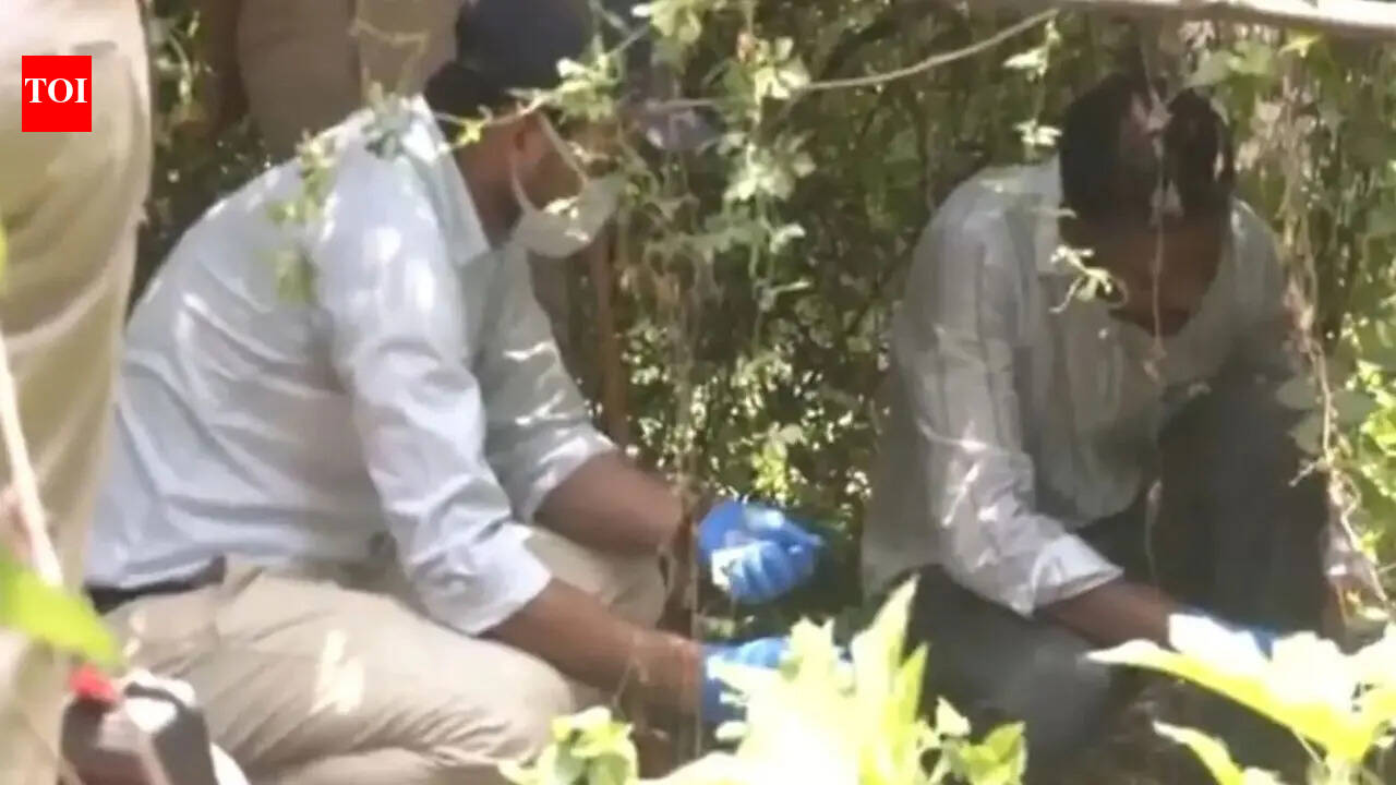 Severed human head found near railway tracks in Patna