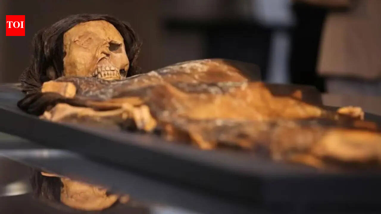 The woman buried with gold, tattoos and weapons may have been a ruler in ancient Peru: A 1,500-year-old mystery buried for centuries