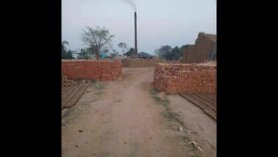 NGT sets up panel to probe ‘illegal brick kiln, clay mining in Balasore