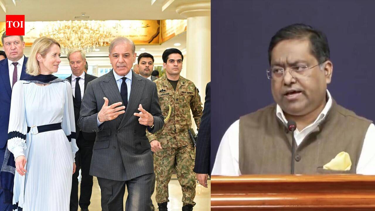 India Rejects EU-Pak Statement After J&K Reference Sparks Diplomatic Controversy  timesofindia.indiatimes.com