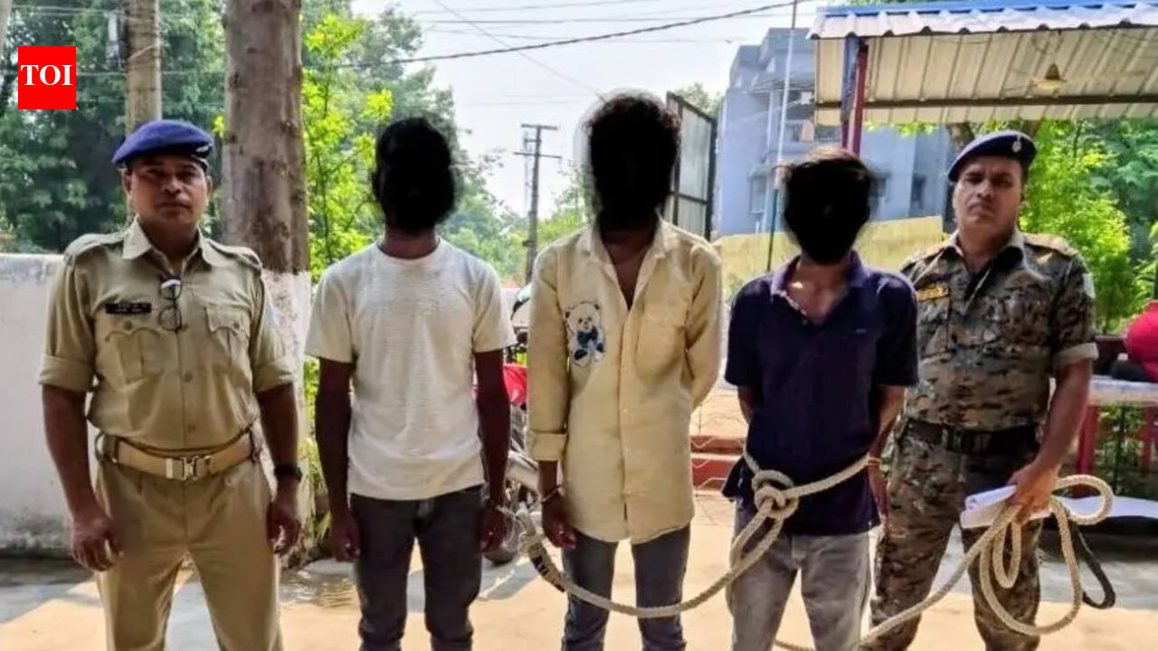 3 held for sneaking in house, molesting minor