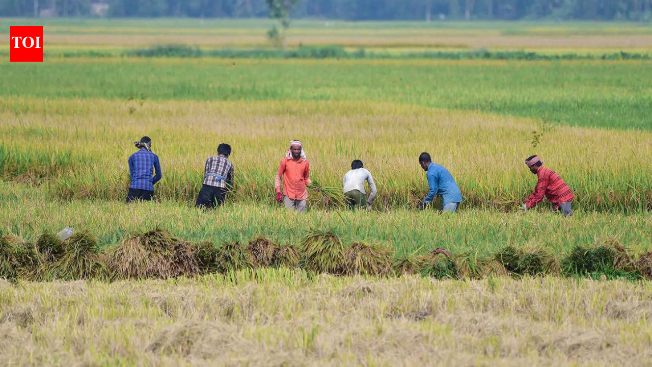 Monsoon watch: Centre activates drought contingency plans as IMD flags El Nino risk