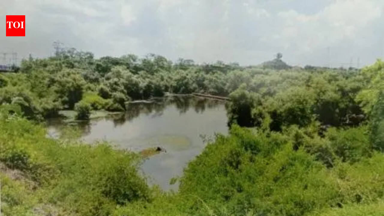 500 dumpers of debris fill holding pond in Belapur, raise flood fears