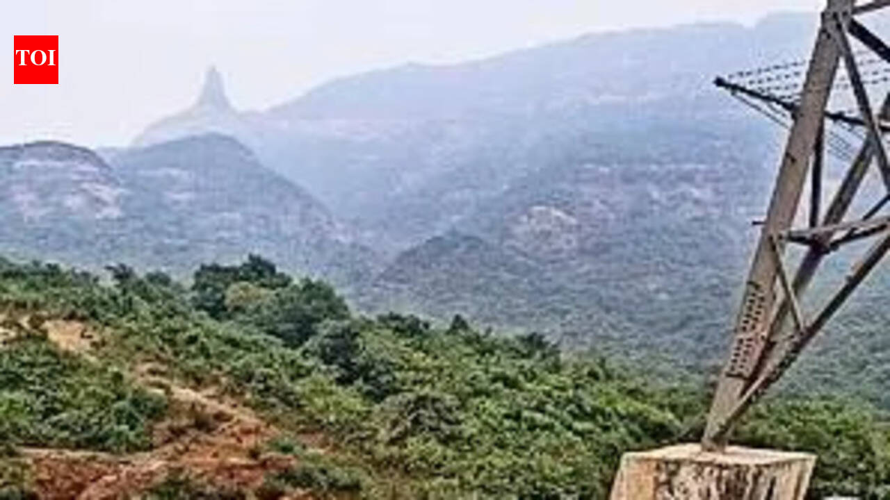 150-acre private forest destroyed near Karnala Fort & Sanctuary area