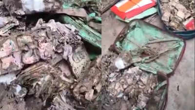 Hidden for years, termite-eaten cash worth over Rs 1 lakh found in Kolkata college union room; watch
