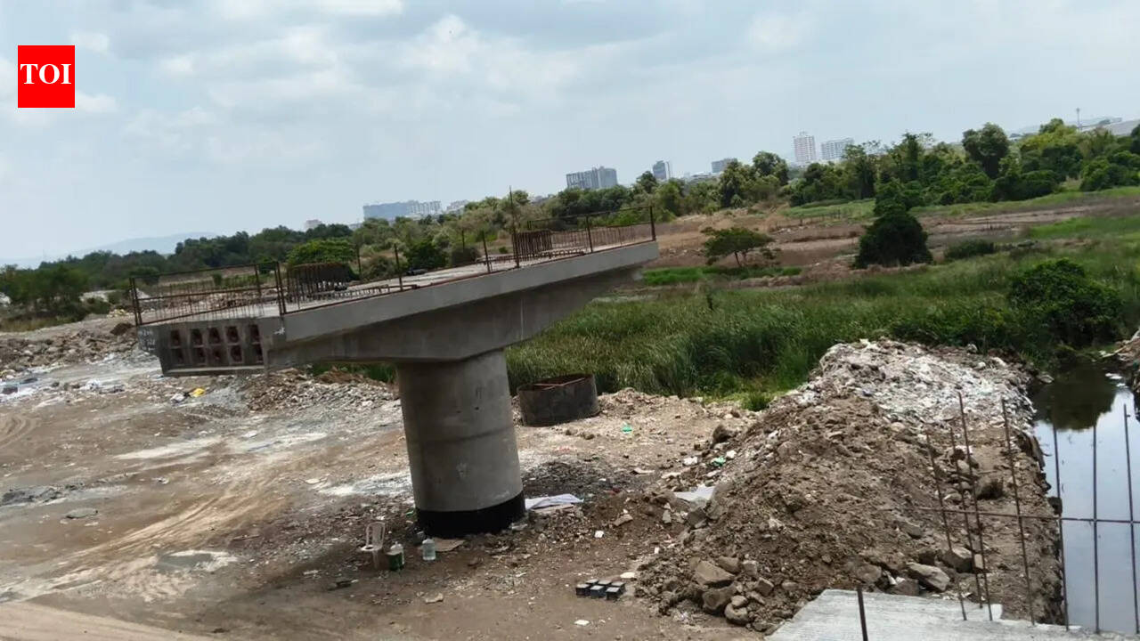 Thane Coastal Road work: Congress alleges damage to mangroves, flags ‘flood risk’