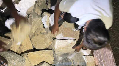 CBN seizes over 105kg of narcotics in Raj, one held