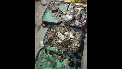 Two suitcases, stashed with termite-eaten cash, firearm found on Surendranath campus