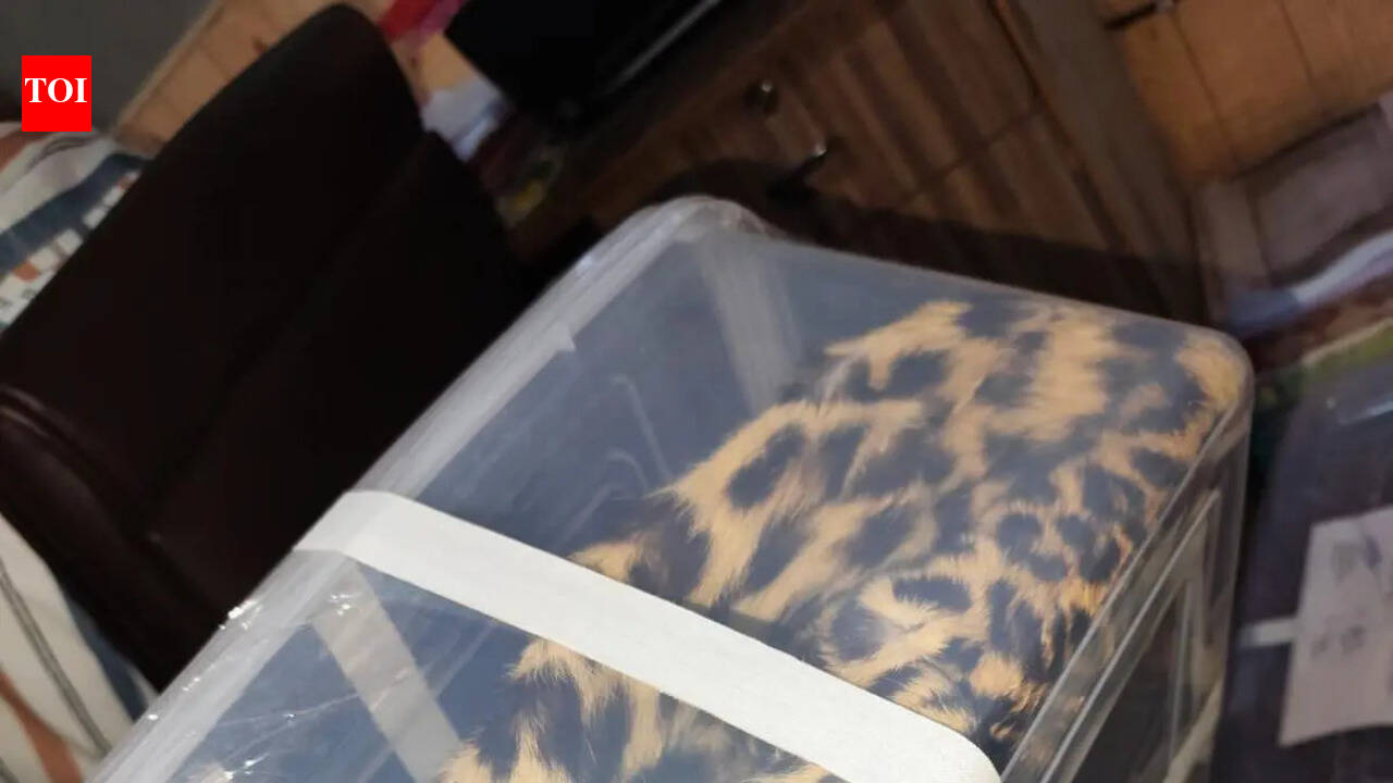 DRI busts bid to sell leopard skin in Surat, 2 held