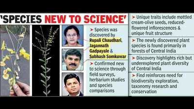 New Botanical Find In Umred Named After Savitribai Phule