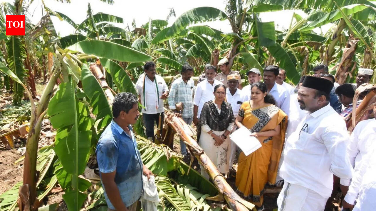 Gale damages 82 hectares of banana crop in Thanjavur