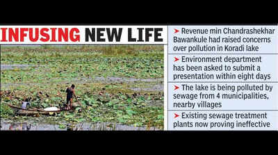 Koradi Lake revival likely soon as Pankaja seeks detailed plan