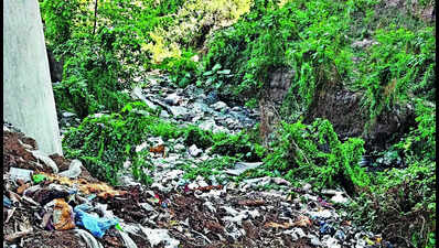 Chandigarh’s waterways polluted, National Green Tribunal demands ‘zero deficiency’.
