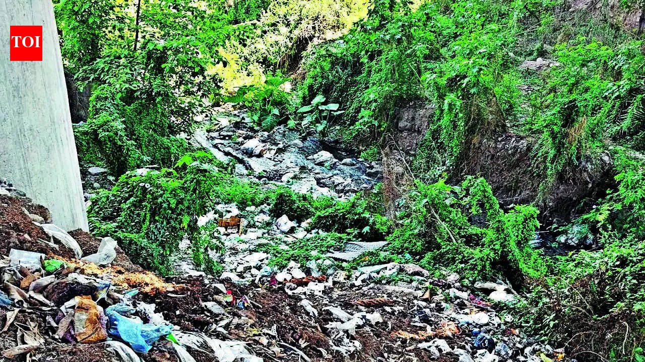 Chandigarh's waterways polluted, National Green Tribunal demands ‘zero deficiency'.