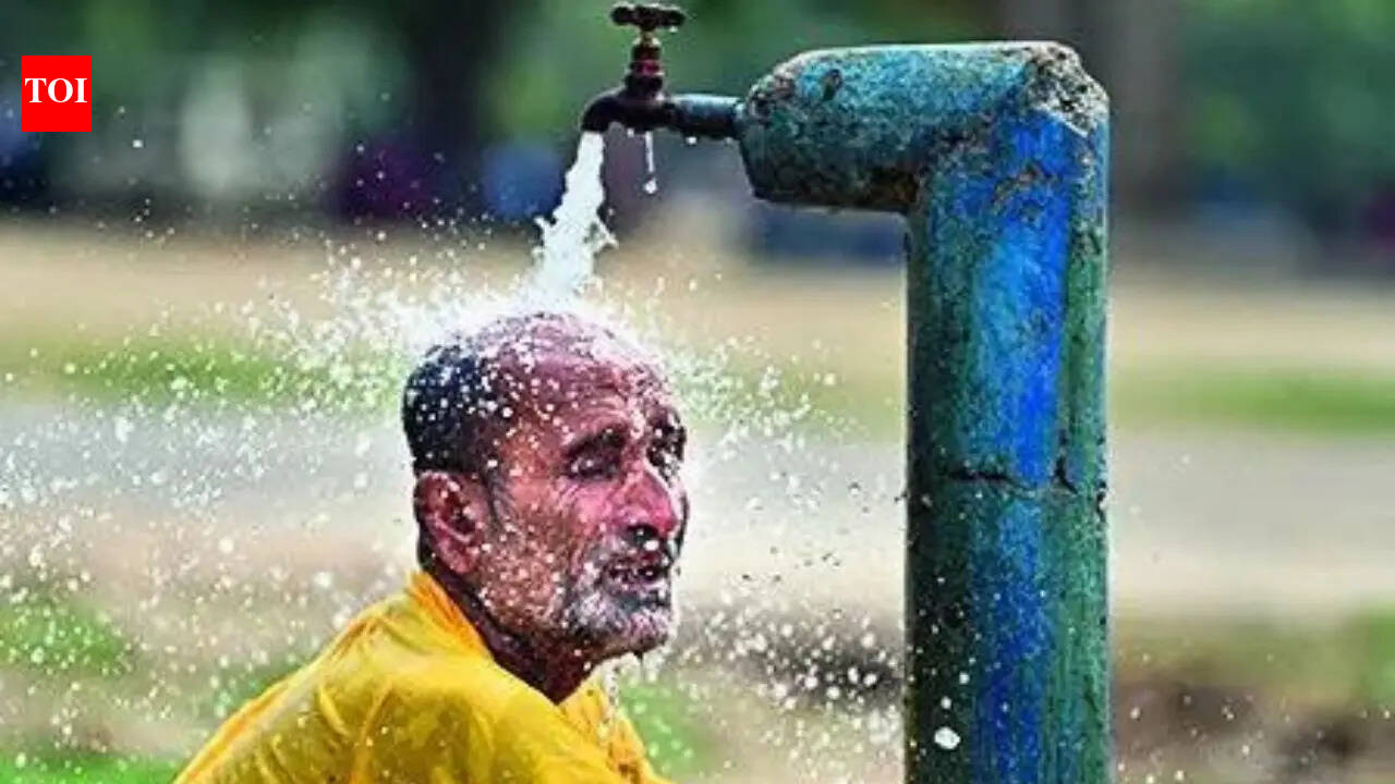 WMO's El Nino alert raises odds of severe impact on monsoon