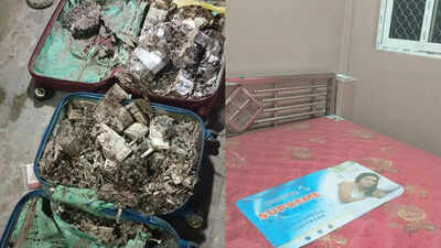 Cash, gun and mystery rooms: Two suitcases stashed with termite-eaten currency notes, firearm found on Kolkata college campus