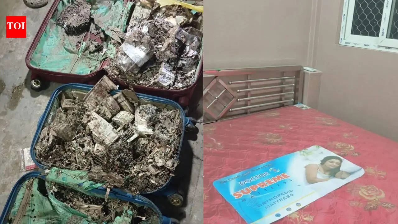 2 suitcases stashed with termite-eaten cash, firearm found in Kolkata college