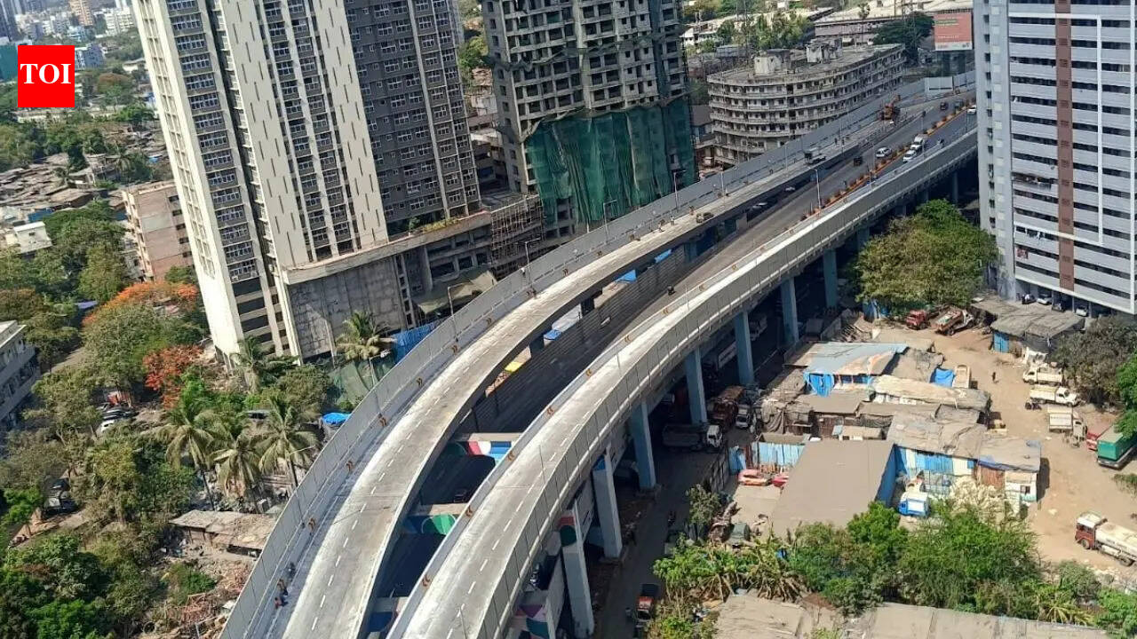 Mumbai's Mrinal Tai Gore Flyover extension to open on June 6