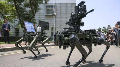 Taiwan develops armed robot dogs to bolster defences against China