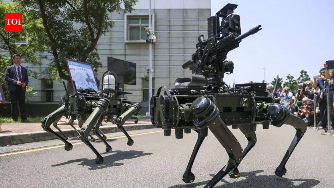 Taiwan develops armed robot dogs to bolster defences against China