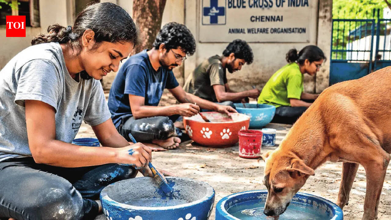 Helping quench animals’ thirst across the city, one bowl at a time this summer