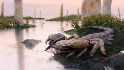 Meet the dog-sized scorpion that may have been Britain’s top predator 415 million years ago, long before dinosaurs