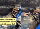 Influencer gives rare peek into what life is really like inside Himalayan yogi caves near Badrinath; finds surprising objects inside