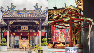 Inside Malaysia's Snake Temple where venomous vipers live among prayer halls and people worship alongside them