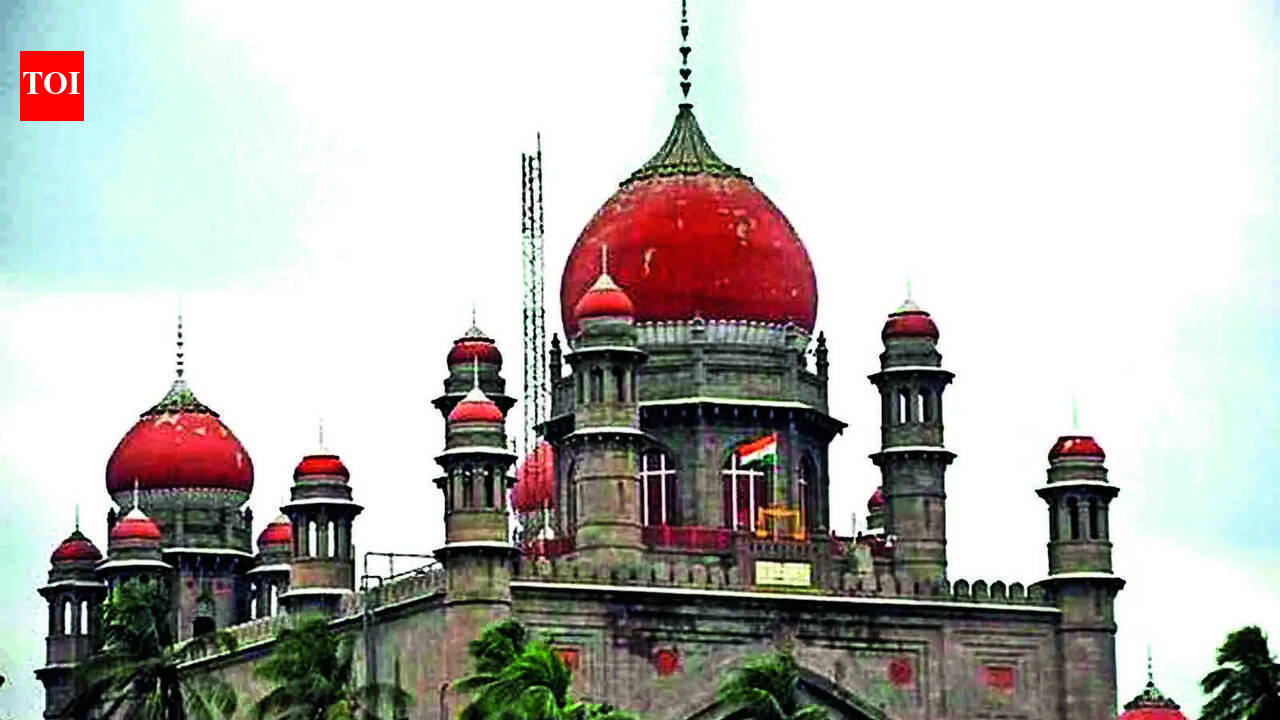 HC raps power firms; junks GVK Gautami petition, slaps fine