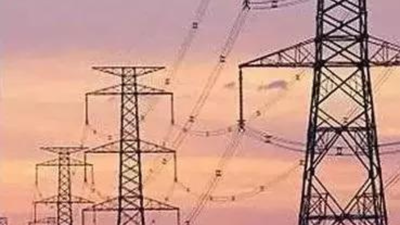 Grid stability, large-scale integration of renewable energy discussed in Parl panel meet