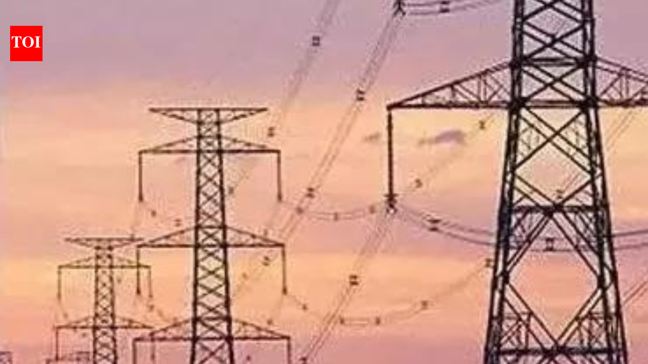 Grid stability, large-scale integration of renewable energy discussed in Parl panel meet